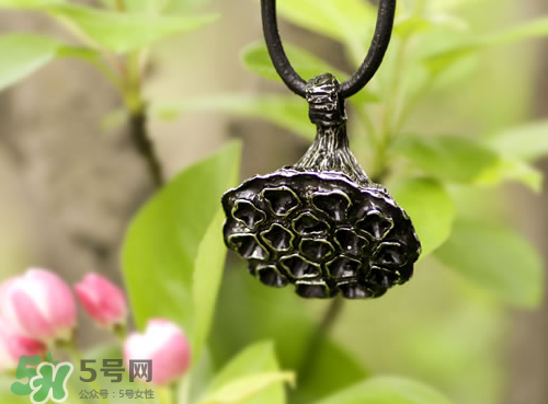 莲蓬挂件的寓意是什么,莲蓬挂件的寓意和象征