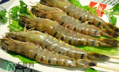 斑节虾和九节虾的区别,斑节虾和九节虾是同一种虾吗? 斑节虾和九节虾的区别,斑节虾和九节虾是同一种虾吗?