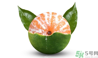 孕妇能吃青桔子吗,吃青桔子有什么好处和坏处