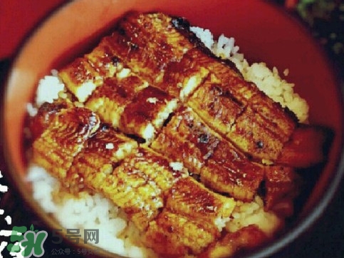 鳗鱼饭的正确吃法,鳗鱼饭怎么吃