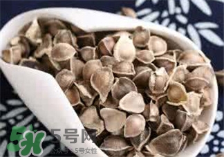 辣木籽的特点,辣木籽有什么功效 辣木籽的特点,辣木籽有什么功效