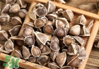 辣木籽可以治疗哪几种病,辣木籽哪些病不能吃