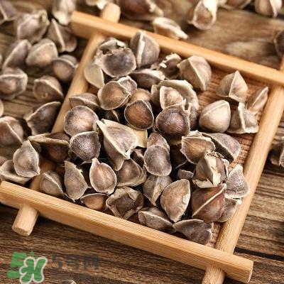 辣木籽怎么吃是正确的,辣木籽怎么吃减肥效果最好