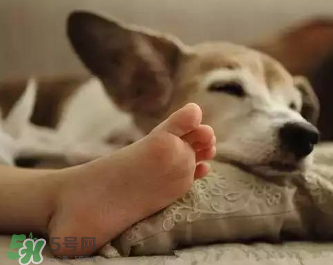 夏天开窗睡觉好吗?,夏天睡觉开窗户好还是关窗好