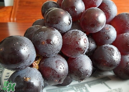 葡萄的品种有哪些?,葡萄新品种有哪些