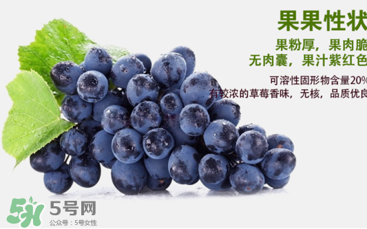 夏黑葡萄怎么洗才干净,黑葡萄怎么清洗 夏黑葡萄怎么洗才干净,黑葡萄怎么清洗