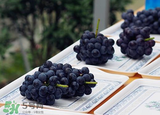 夏黑葡萄怎么吃,夏黑葡萄怎么吃好剥皮