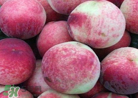 血桃和紫血桃哪个好,血桃和普通桃子有什么区别