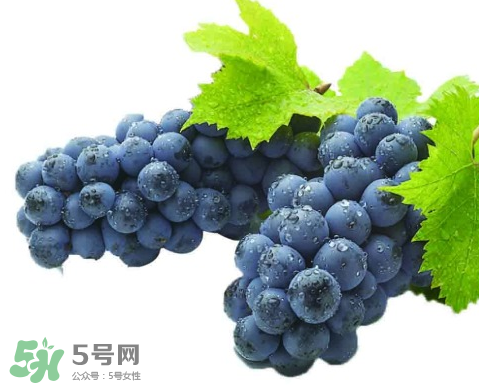 怀孕吃葡萄和提子一样吗,葡萄和提子一样吗