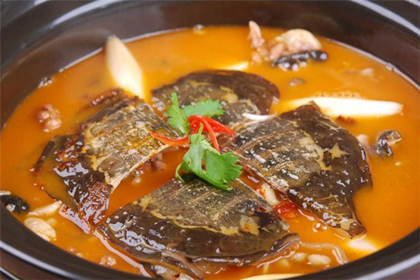 减肥期间可以吃甲鱼吗?,减肥能吃甲鱼么 减肥期间可以吃甲鱼吗?,减肥能吃甲鱼么