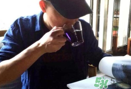 黑枸杞泡酒喝的正确方法,黑枸杞泡白酒正确方法 黑枸杞泡酒喝的正确方法,黑枸杞泡白酒正确方法