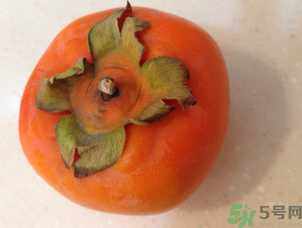 孕妇能吃懒柿子吗,懒柿子吃多了会怎么样