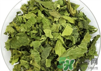 桑叶洗头的方法如下,用桑叶洗头的正确方法