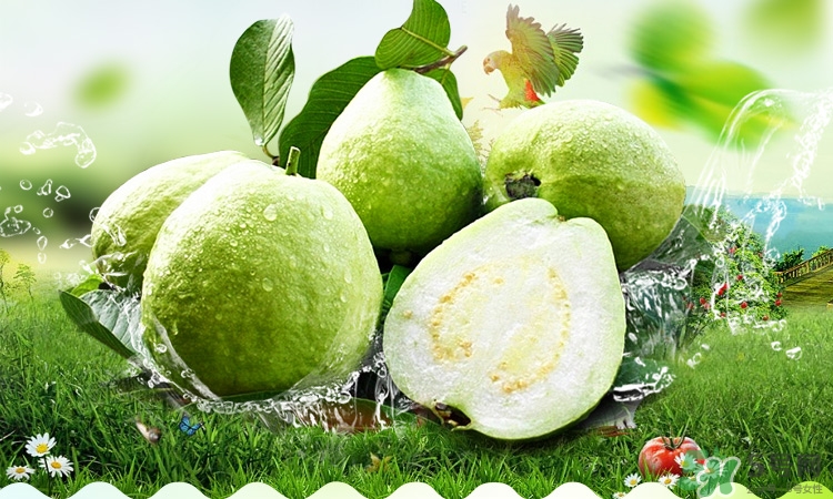 宝宝可以吃番石榴,番石榴怎么吃法 宝宝可以吃番石榴,番石榴怎么吃法