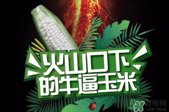 红楼梦疑问解答,红楼梦第六回疑问解答 红楼梦疑问解答,红楼梦第六回疑问解答