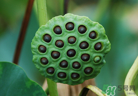 胎毒清怎么用,清胎毒在什么时候清怎么清