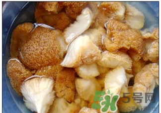 猴头菇的功效和作用及营养价值,猴头菇的功效和作用