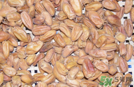 黄皮果核可以吃吗,黄皮果核副作用和禁忌