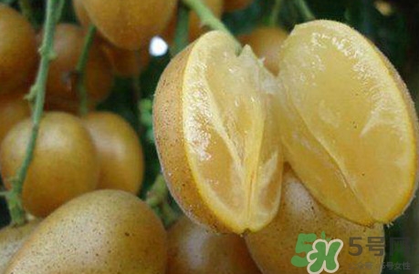 香蕉不能和什么一起吃 禁忌,香蕉不能和什么一起吃?