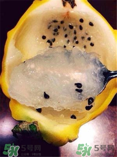 麒麟果和火龙果的区别,麒麟果是火龙果吗