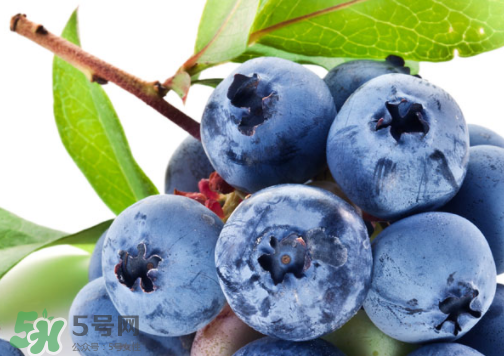 新鲜蓝莓的食用方法,新鲜的蓝莓怎么吃