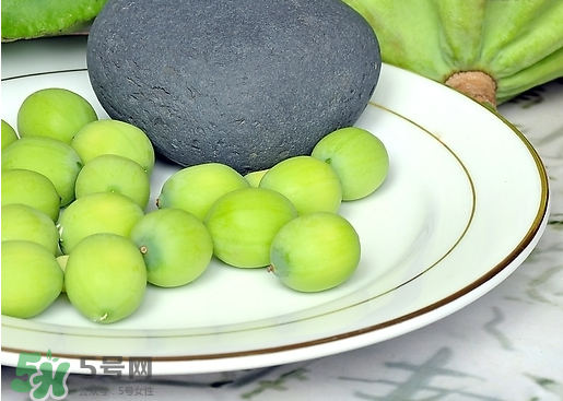 莲蓬子的食用方法,莲蓬子的功效和怎么吃