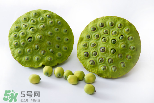 莲蓬子的营养价值,莲蓬子的功效和作用吃法