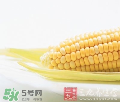 玉米穗的作用,玉米穗的作用和功效