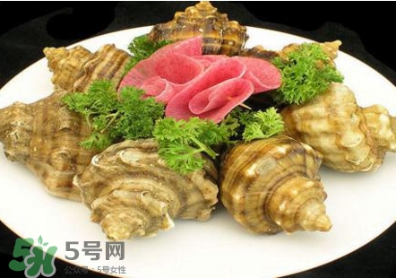 海螺可以冷冻吗 海螺放冰箱能保存多久,海螺放冰箱能保存多久