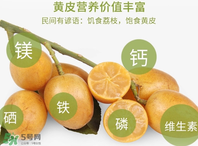 金桔和黄皮果的区别,黄皮小金桔