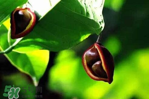 孕妇吃苹果对胎儿好吗,吃苹果对胎儿好吗