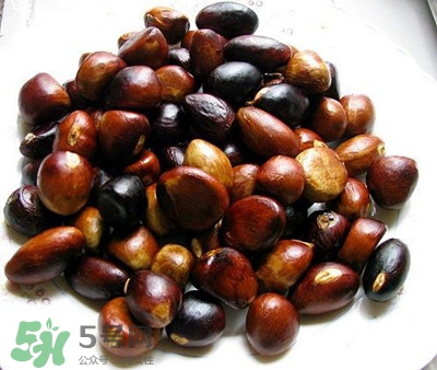 苹婆的正确吃法,苹婆果的吃法