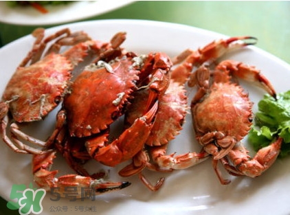 花盖蟹怎么分公母,花盖蟹怎么分公母图片