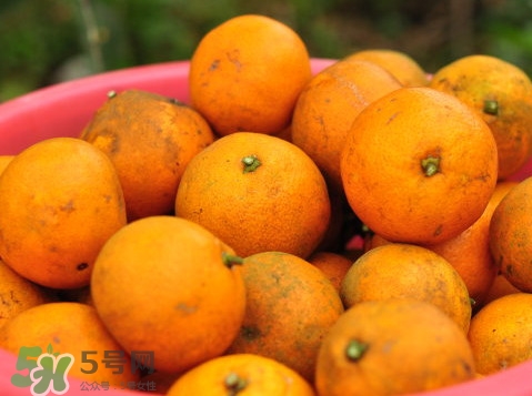 桔子什么时候吃最好,桔子什么时候吃最好吃