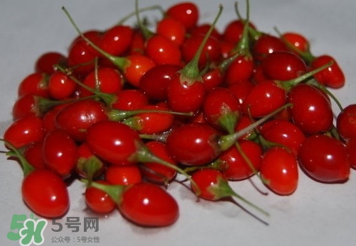 吃枸杞鲜果有什么好处,枸杞鲜果的功效和作用 吃枸杞鲜果有什么好处,枸杞鲜果的功效和作用