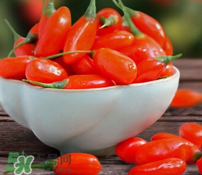 新鲜枸杞好还是干枸杞好,请问鲜枸杞好还是干枸杞好