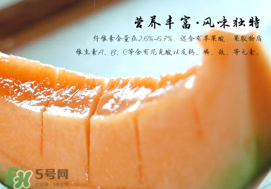 西州蜜瓜的特点,西州蜜瓜产地