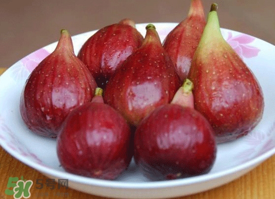 无花果是什么季节的水果?,什么季节有无花果 无花果是什么季节的水果?,什么季节有无花果