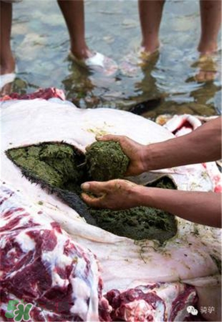 牛粪火锅好吃吗,牛粪火锅真的能吃吗 牛粪火锅好吃吗,牛粪火锅真的能吃吗