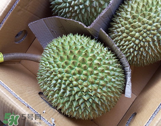 干尧榴莲产地是哪里,干尧榴莲特点