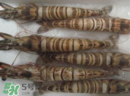 九节虾跟基围虾是一个品种吗,九节虾和基围虾的区别