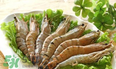 新鲜的竹节虾怎么保存,竹节虾蒸几分钟能熟 新鲜的竹节虾怎么保存,竹节虾蒸几分钟能熟