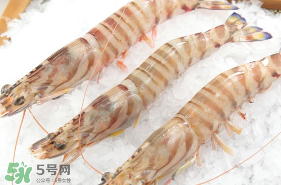 竹节虾是海虾还是河虾?,竹节虾属于海虾还是河虾