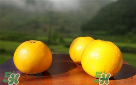 胡柚和什么相克,胡柚跟什么东西相克