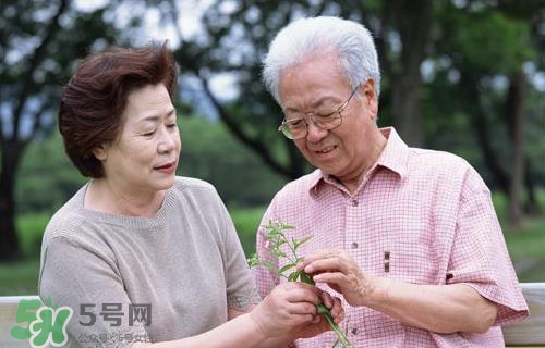 老玉米升糖最慢最适合糖尿病人,玉米糖尿病能吃吗升糖率高吗 老玉米升糖最慢最适合糖尿病人,玉米糖尿病能吃吗升糖率高吗
