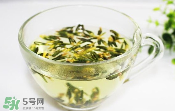 莲子心泡茶什么人不能喝,哪些人不能喝莲子心茶