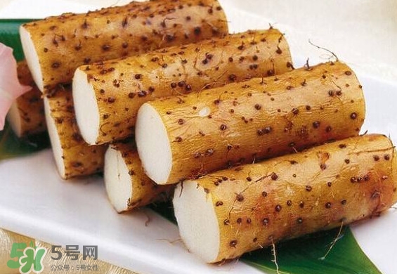 怀山药就是铁棍山药吗,铁棍山药和怀山药一样吗