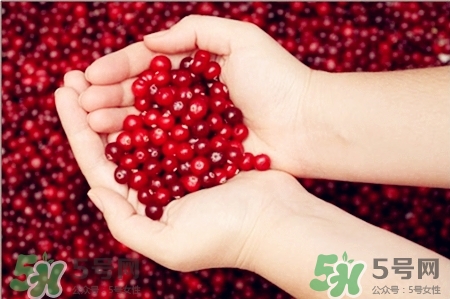 蔓越莓怎么吃效果好,蔓越莓怎么吃最好