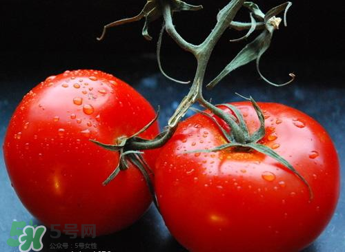 西红柿的食用价值,西红柿的食用价值和功效
