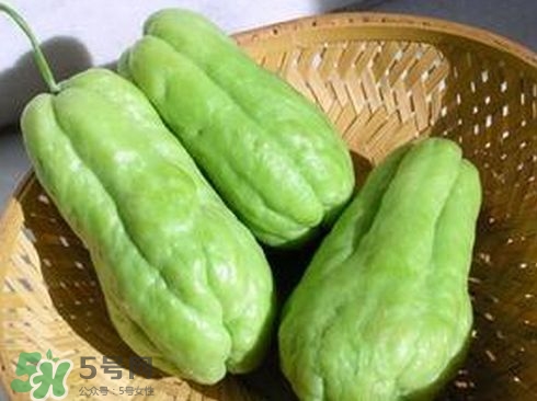 佛手瓜是中药吗?,佛手瓜是佛手中药吗